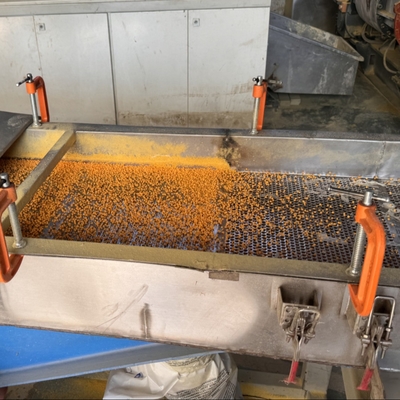 XPE Foam Granulation Machine For XLPE EVA Polyethylene Cross-linked Pelletize